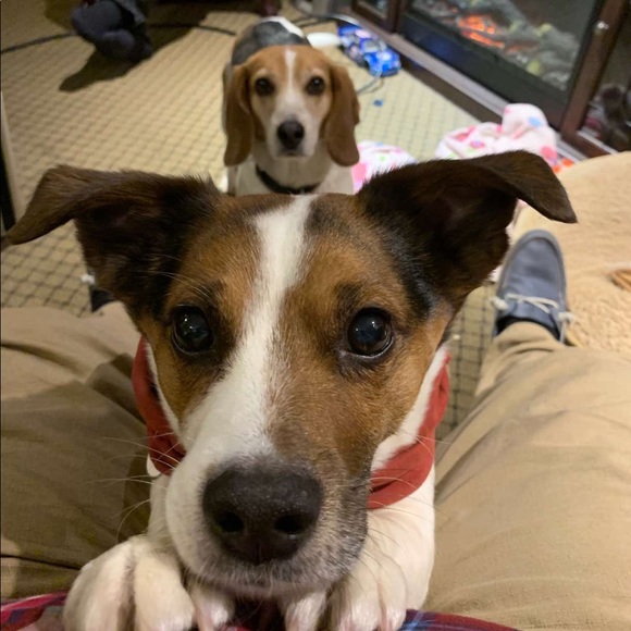 Meet your Posher, Peter - Picture 1 of 1